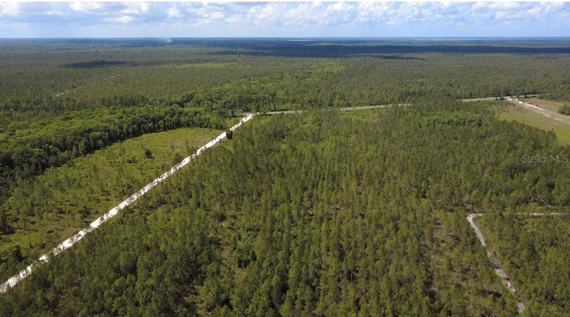 WILD CUR ROAD, Pierson, FL 32180
