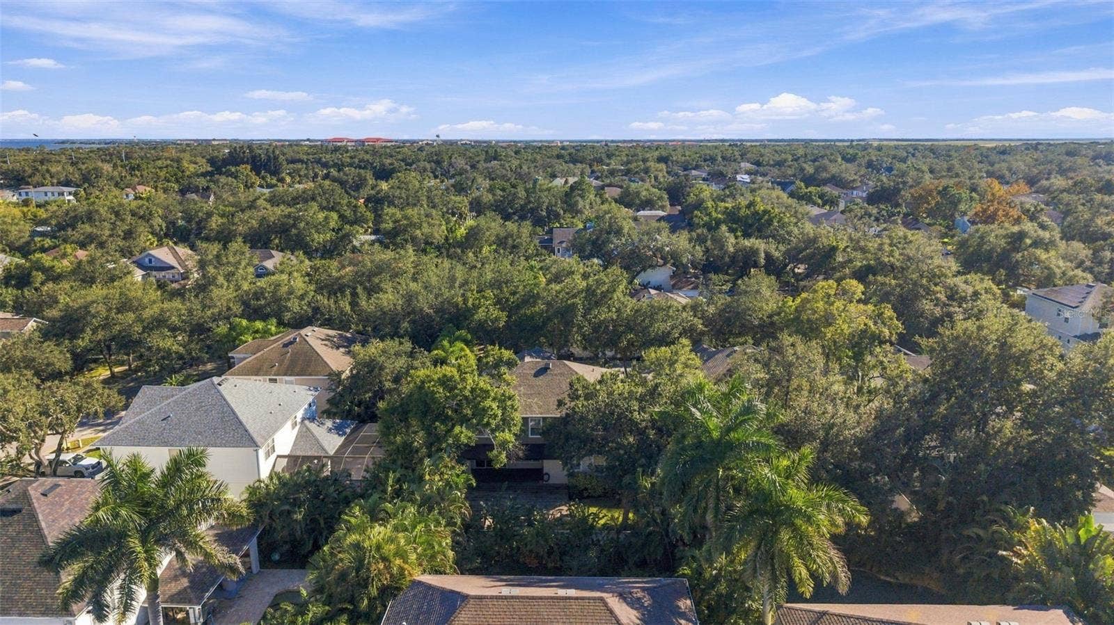 3215 OAK GREEN WAY, Tampa, FL 33611