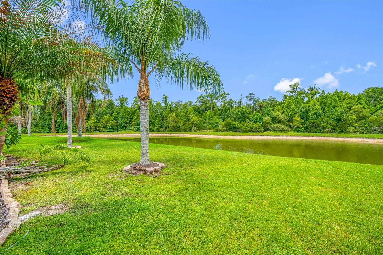25147 GEDDY DRIVE, Land O Lakes, FL 34639 25147 GEDDY DRIVE, Land O Lakes, FL 34639