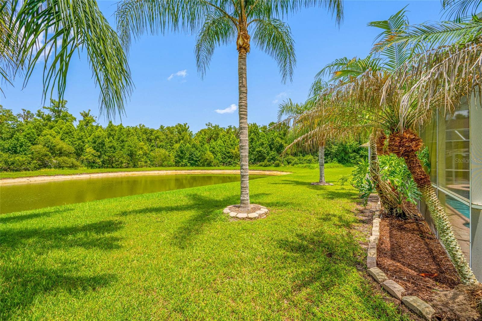 25147 GEDDY DRIVE, Land O Lakes, FL 34639 25147 GEDDY DRIVE, Land O Lakes, FL 34639