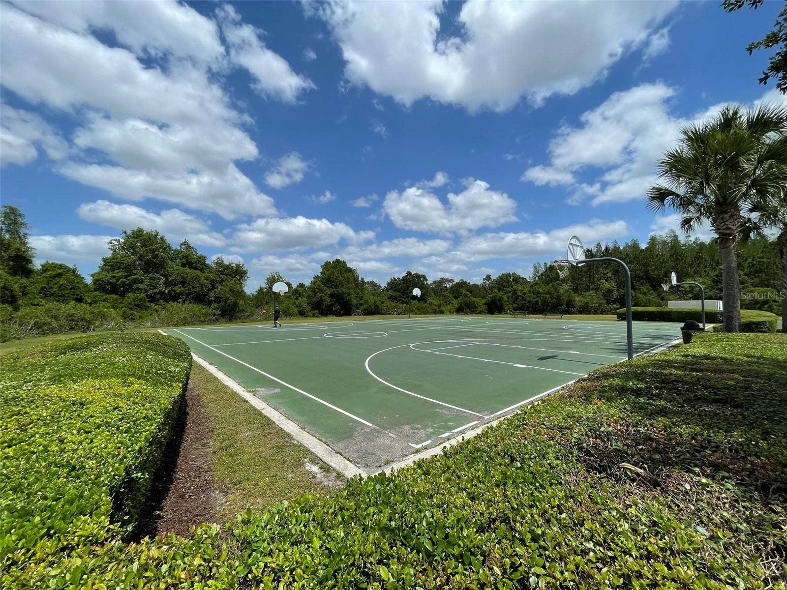 3519 BELLMEADE COURT, Wesley Chapel, FL 33543 3519 BELLMEADE COURT, Wesley Chapel, FL 33543