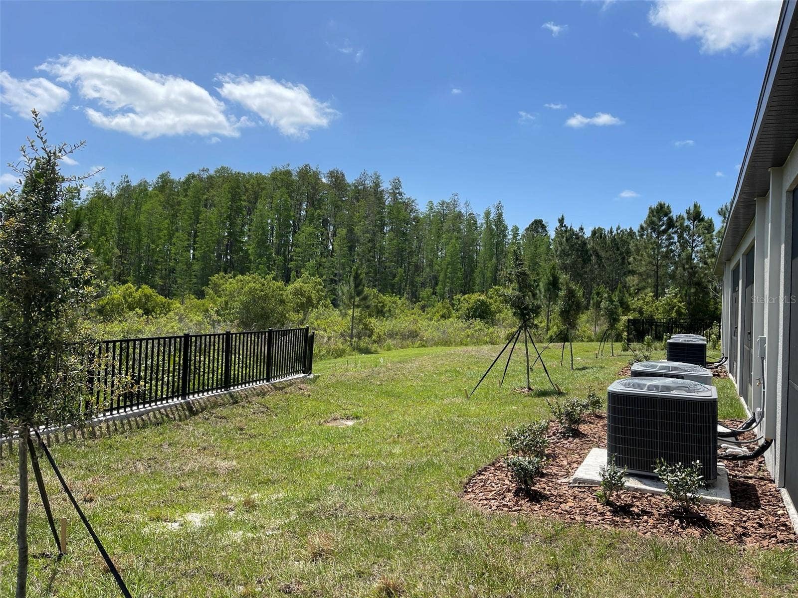3519 BELLMEADE COURT, Wesley Chapel, FL 33543 3519 BELLMEADE COURT, Wesley Chapel, FL 33543