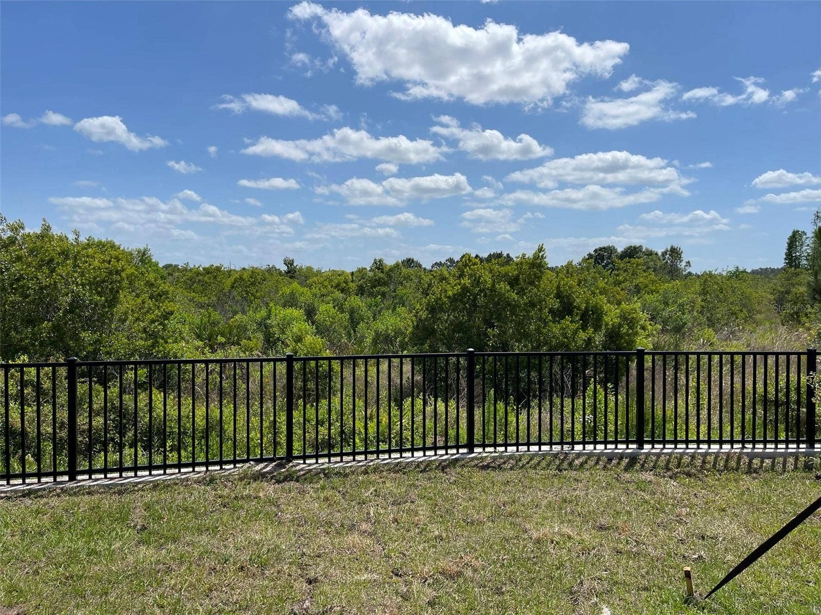 3519 BELLMEADE COURT, Wesley Chapel, FL 33543 3519 BELLMEADE COURT, Wesley Chapel, FL 33543