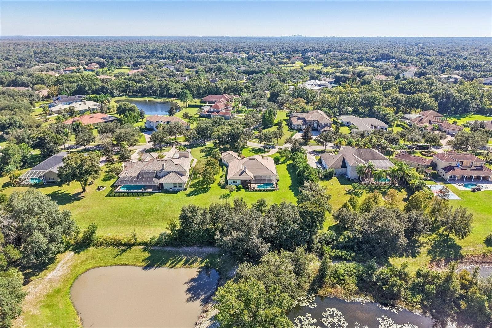 19818 SEA RIDER WAY, Lutz, FL 33559
