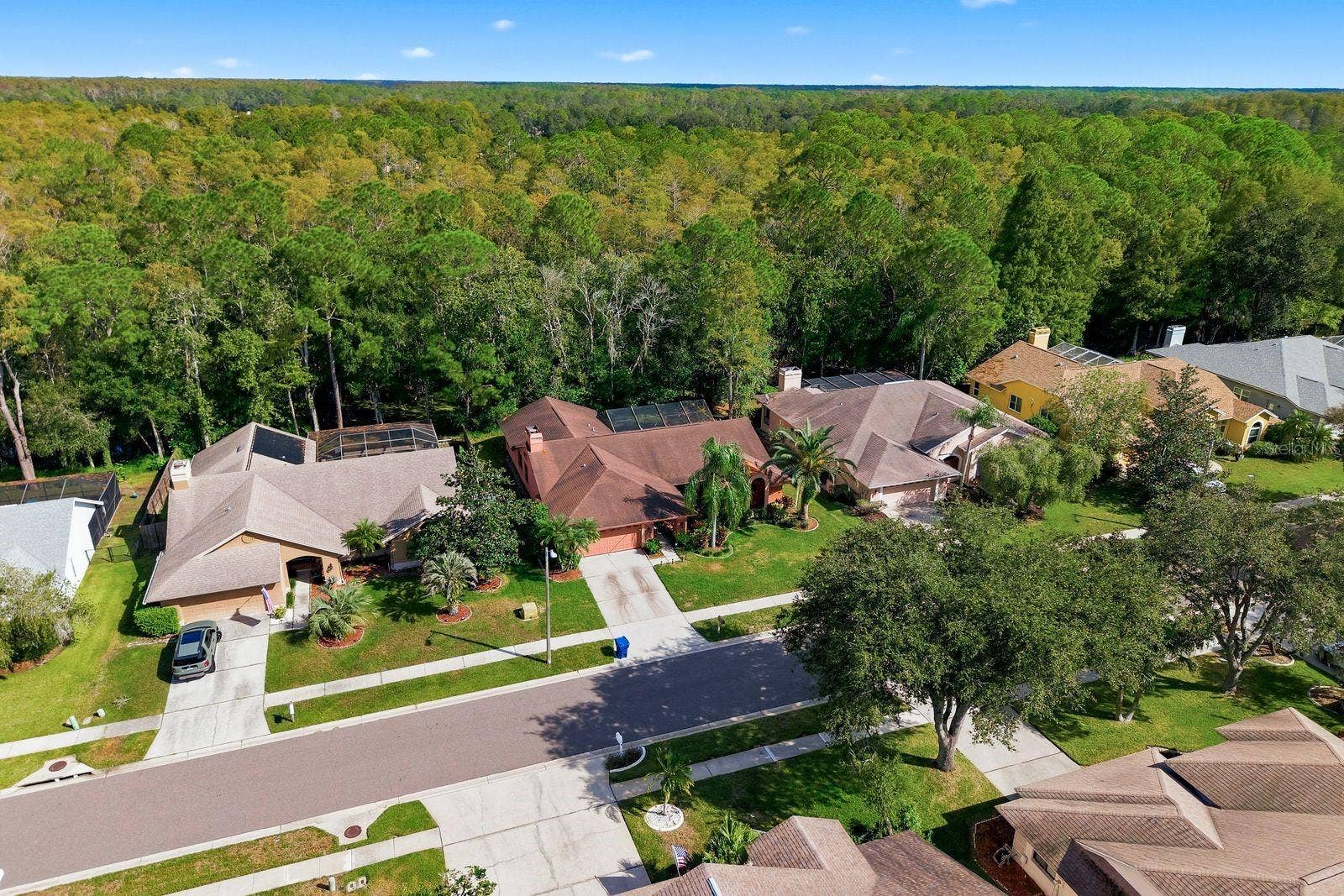 537 CENTERWOOD DRIVE, Tarpon Springs, FL 34688