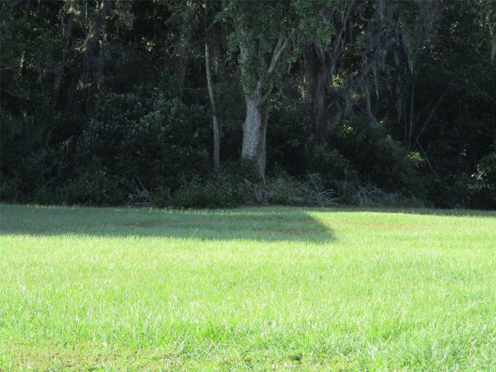 LOT 2 MONET DRIVE, Zephyrhills, FL 33540