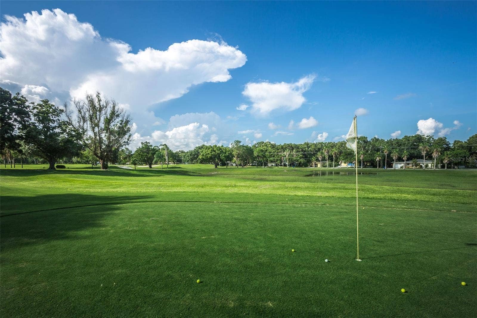2334 TIVERTON COURT, Dunedin, FL 34698 Dunedin Golf Club