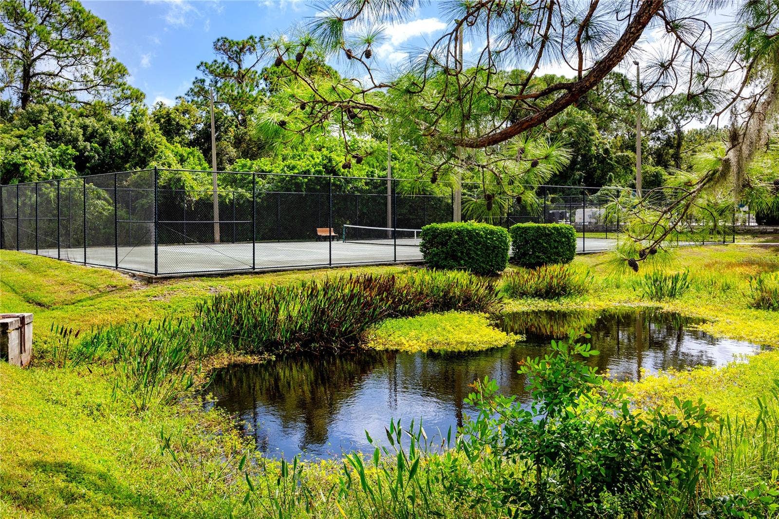 340 BUCKINGHAM PLACE, Palm Harbor, FL 34684 340 BUCKINGHAM PLACE, Palm Harbor, FL 34684