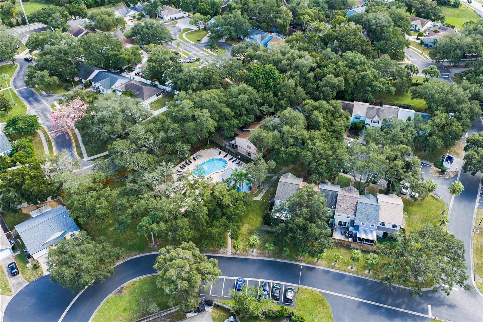 935 HAMILTON COURT, Palm Harbor, FL 34683 935 HAMILTON COURT, Palm Harbor, FL 34683