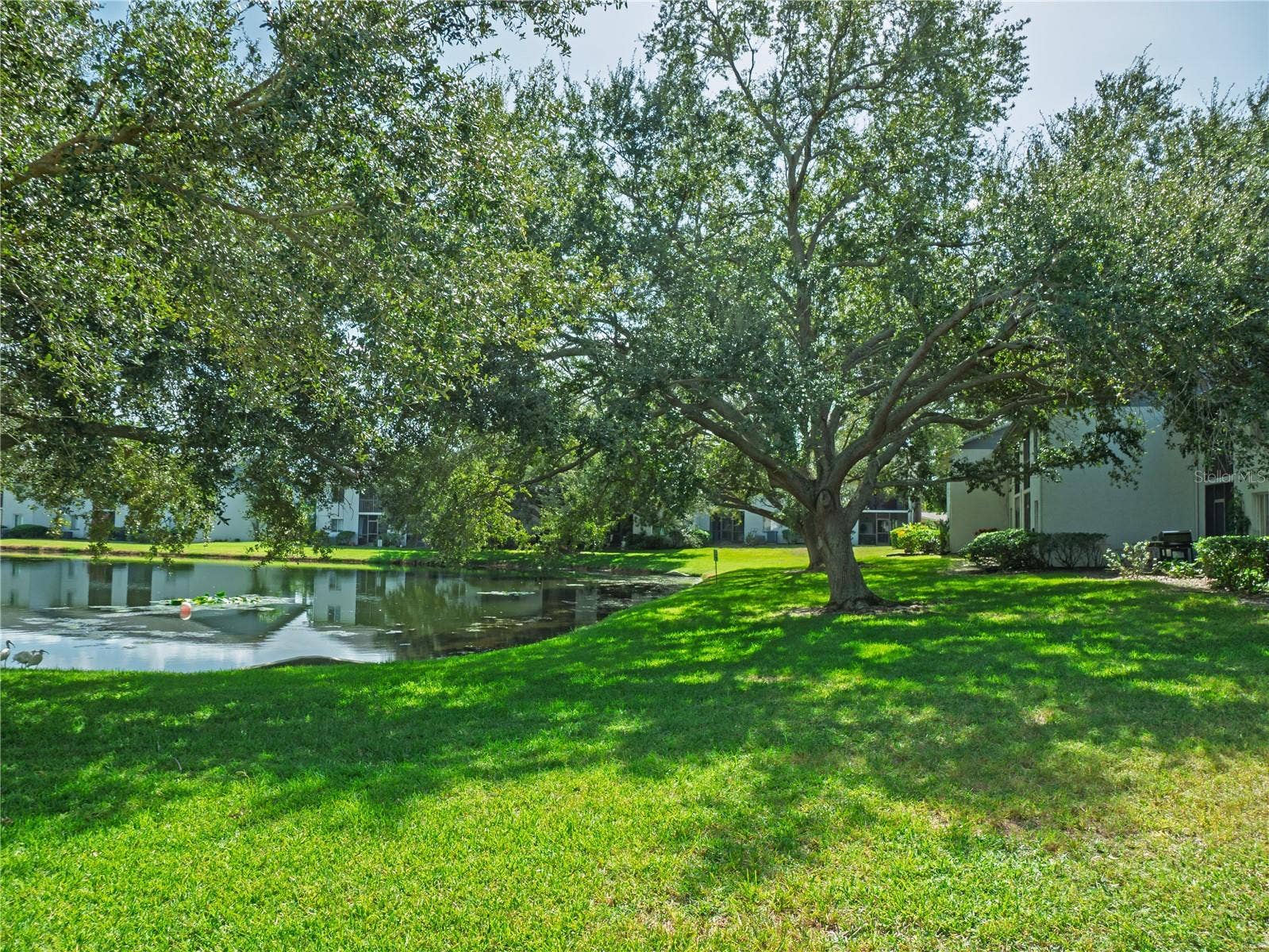11201 122ND AVENUE, #105, Largo, FL 33778 11201 122ND AVENUE, #105, Largo, FL 33778