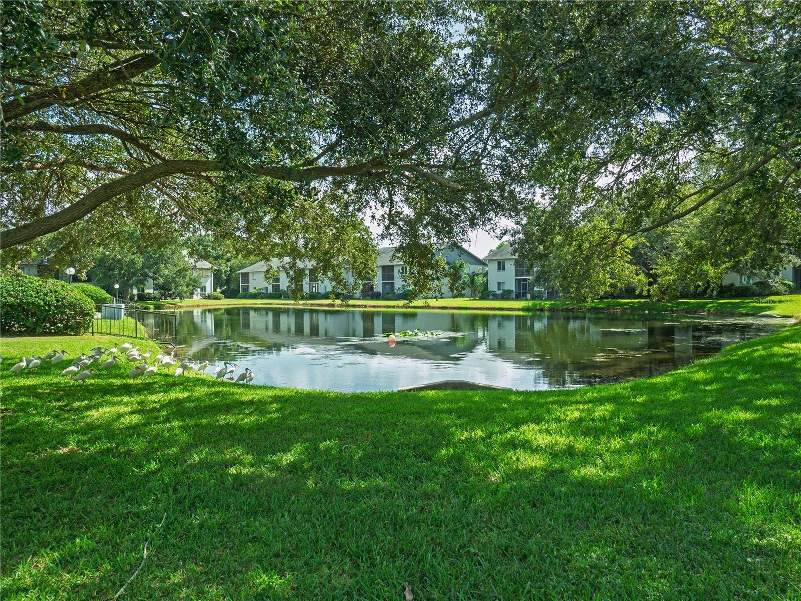 11201 122ND AVENUE, #105, Largo, FL 33778 11201 122ND AVENUE, #105, Largo, FL 33778