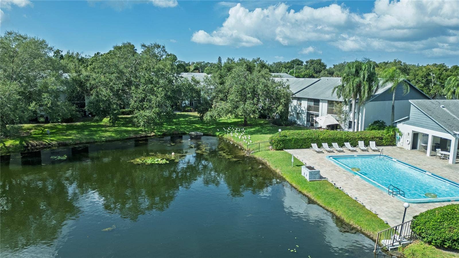 11201 122ND AVENUE, #105, Largo, FL 33778 11201 122ND AVENUE, #105, Largo, FL 33778