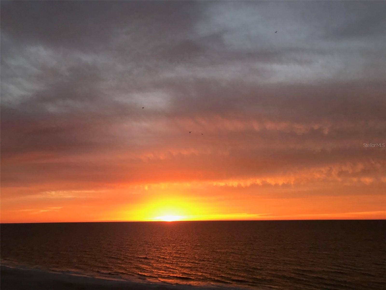 1380 GULF BOULEVARD, #307, Clearwater Beach, FL 33767 1380 GULF BOULEVARD, #307, Clearwater Beach, FL 33767