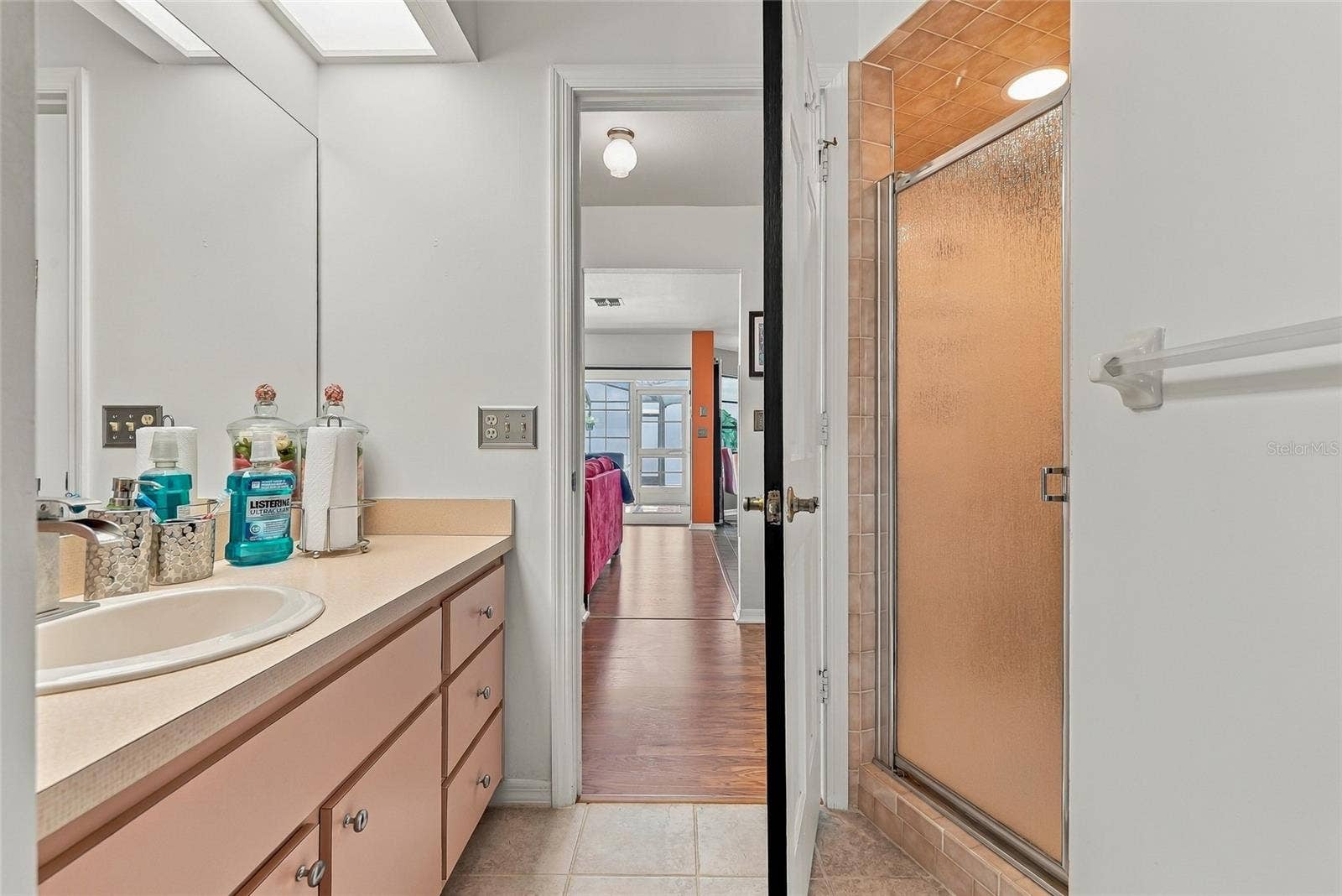 9896 DOMINGO DRIVE, Brooksville, FL 34601 Bathroom 2 with walk-in showerr