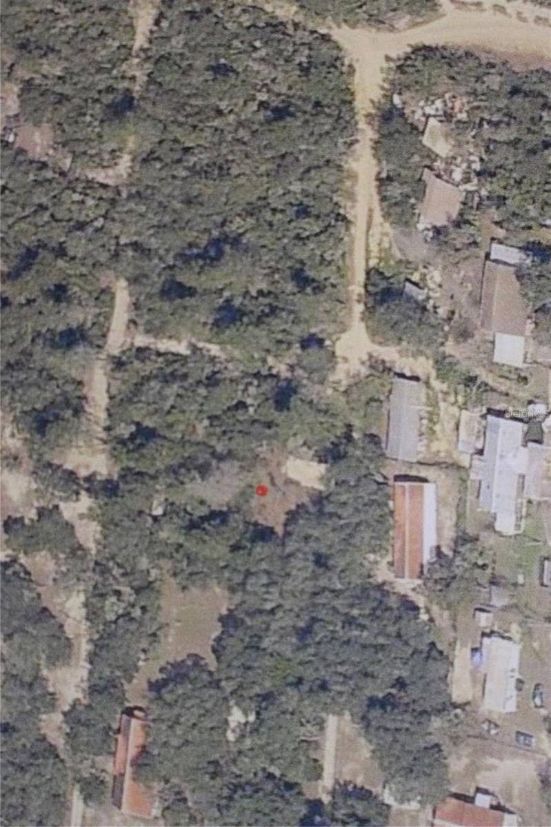 Property photo for NE 233 PLACE, Salt Springs, FL