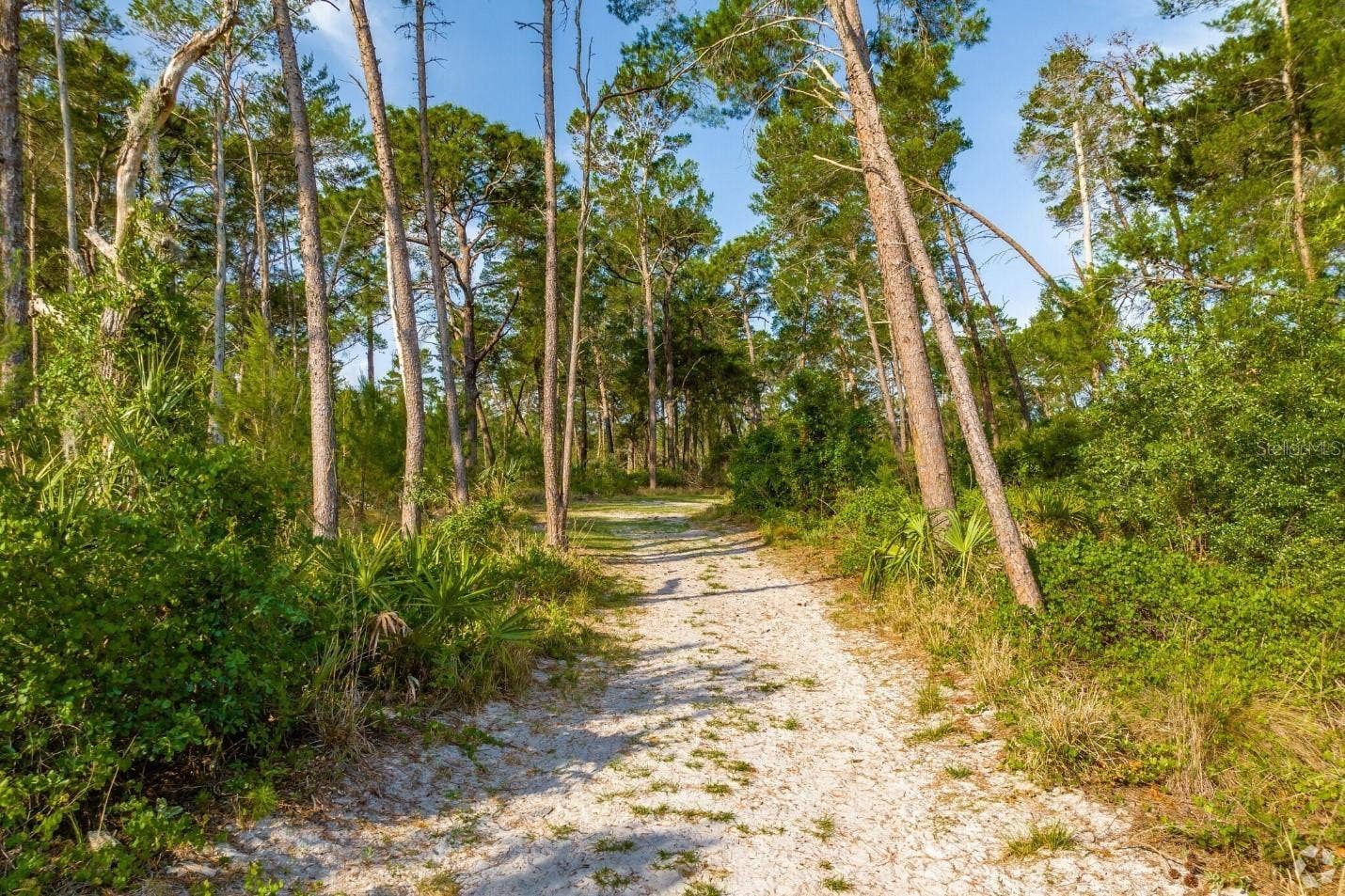 2529 SAN LUIS ROAD, Holiday, FL 34691 Key Vista Nature Park trails