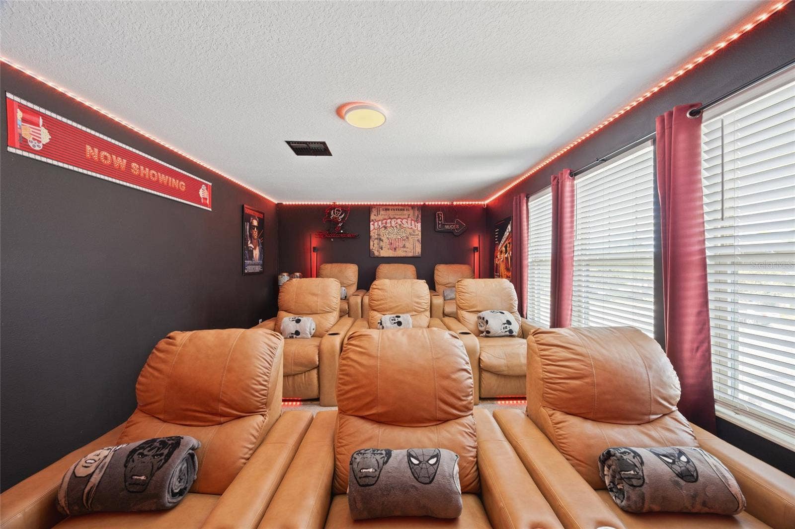 10611 GREAT CORMORANT DRIVE, Riverview, FL 33579 Nine Person Movie Room