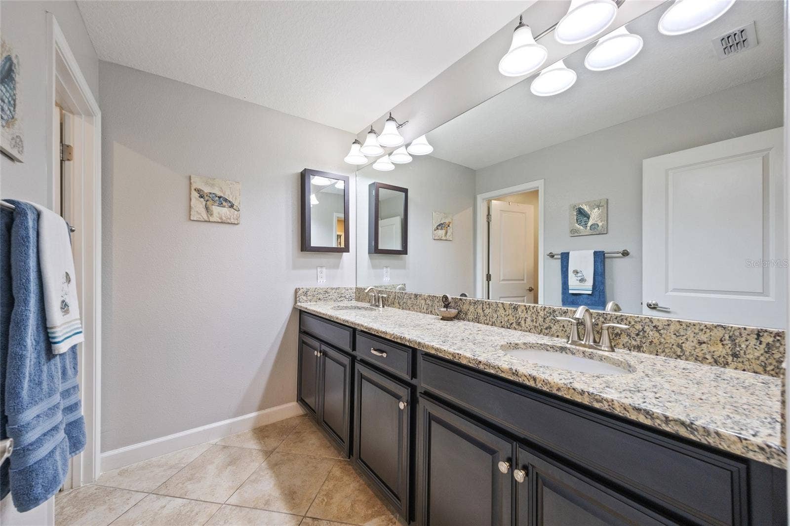 10611 GREAT CORMORANT DRIVE, Riverview, FL 33579 Guest Bathroom 1