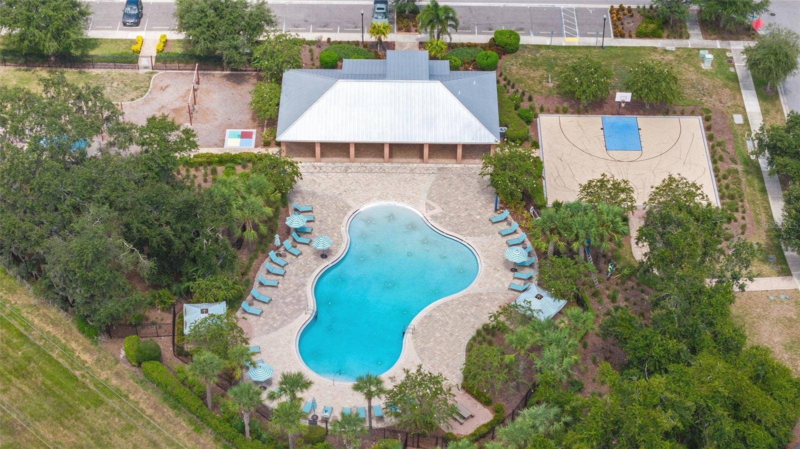 10611 GREAT CORMORANT DRIVE, Riverview, FL 33579 Swim at the pool