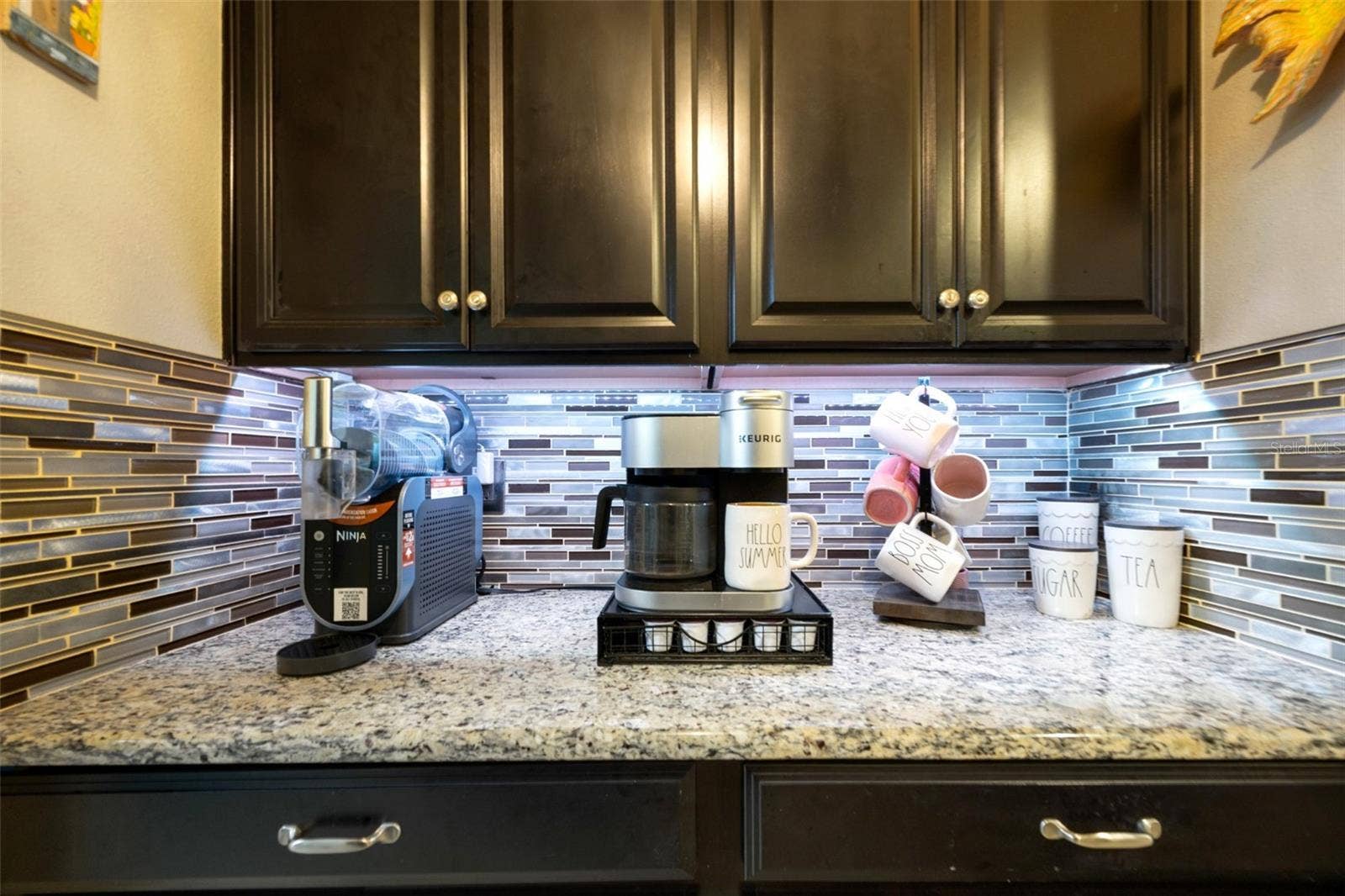10611 GREAT CORMORANT DRIVE, Riverview, FL 33579 Coffee Time!