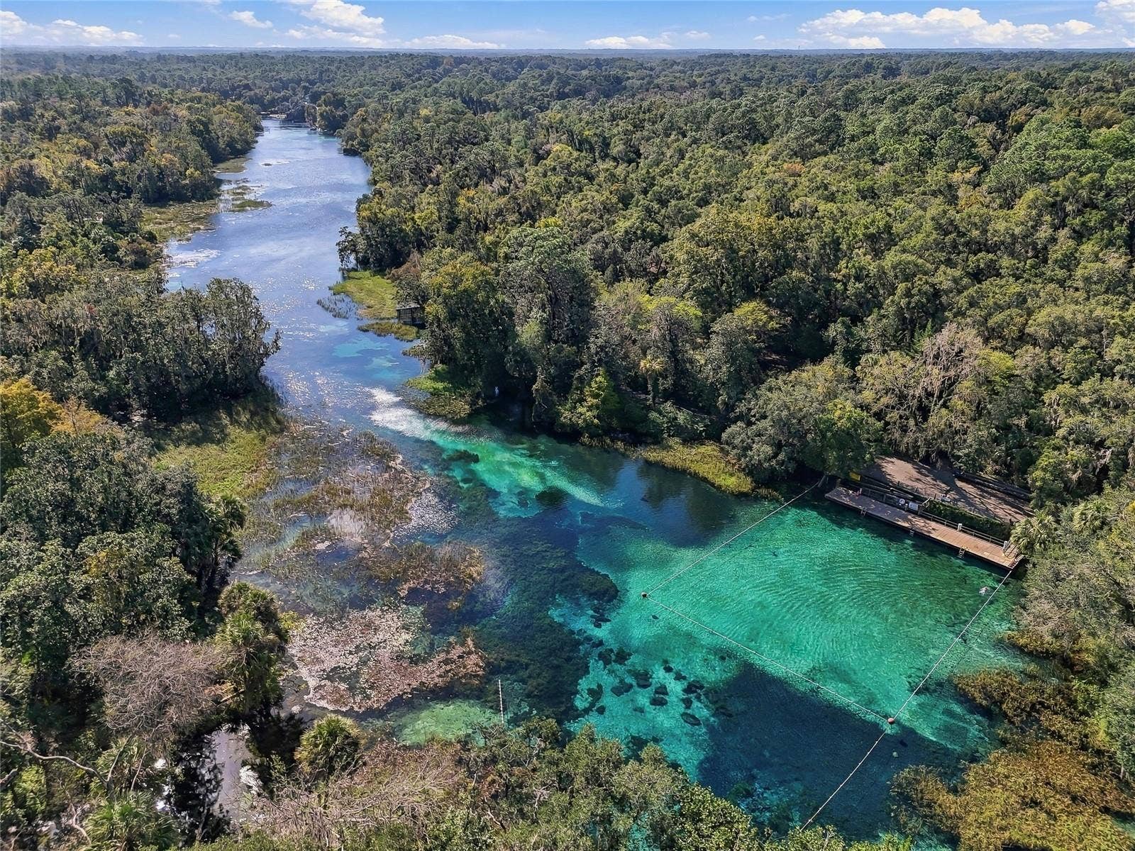 19480 SW 94TH STREET, Dunnellon, FL 34432 Next Kayaking Trip!