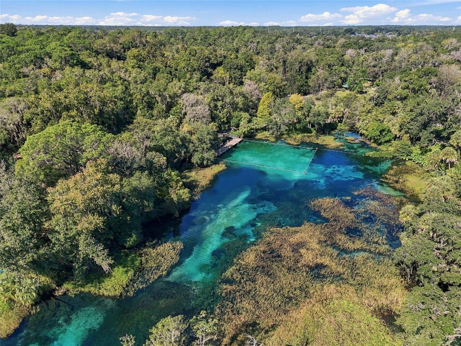 19480 SW 94TH STREET, Dunnellon, FL 34432 Rainbow Springs