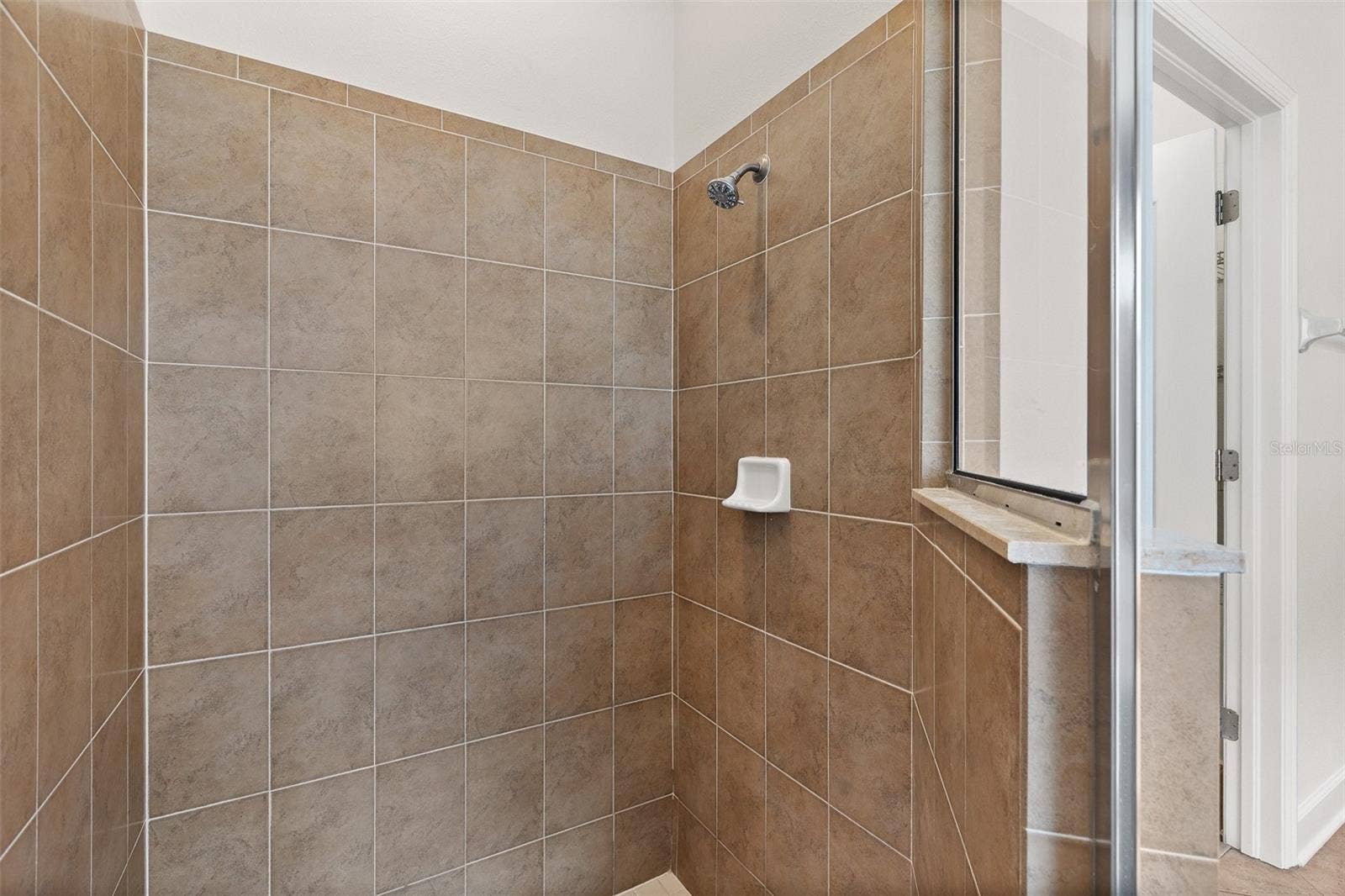 27426 SILVER THATCH DRIVE, Wesley Chapel, FL 33544 Primary Bathroom
