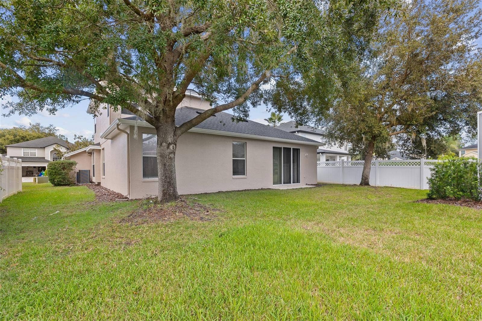 27426 SILVER THATCH DRIVE, Wesley Chapel, FL 33544 Backyard