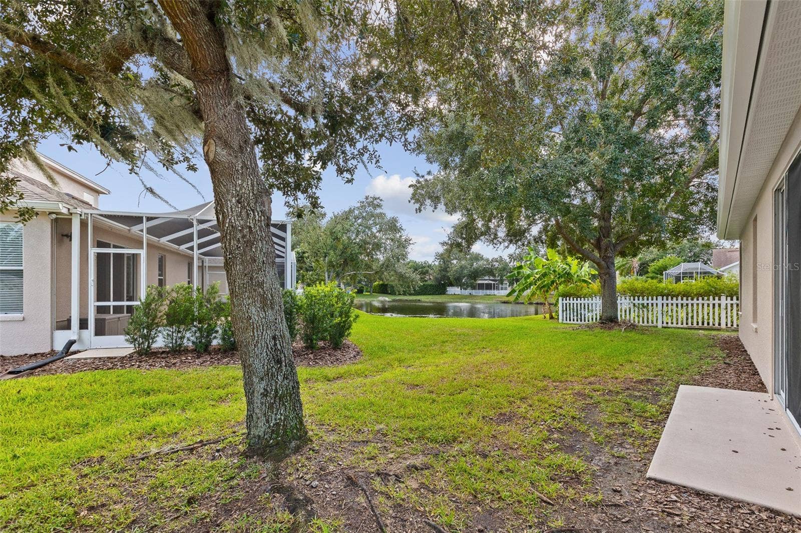 27426 SILVER THATCH DRIVE, Wesley Chapel, FL 33544 Backyard