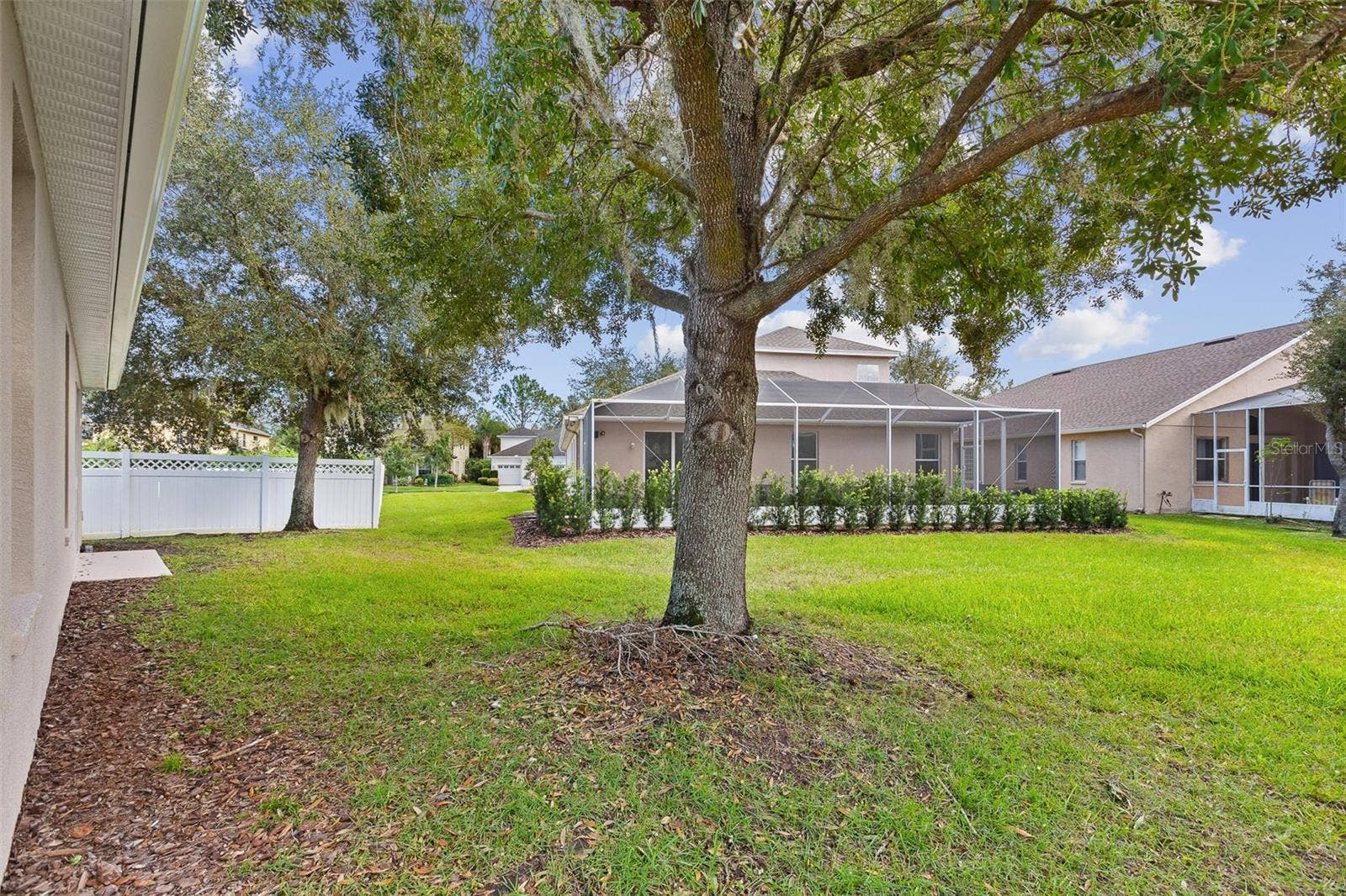 27426 SILVER THATCH DRIVE, Wesley Chapel, FL 33544 Backyard