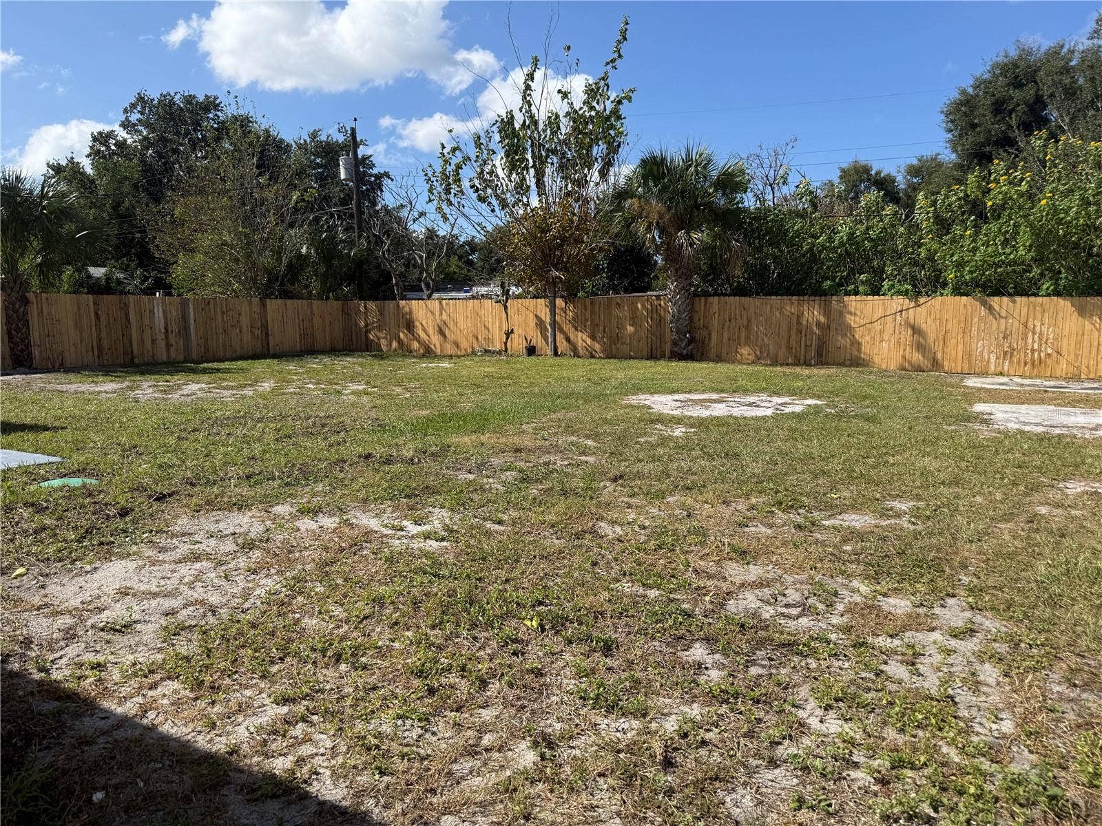 Back yard