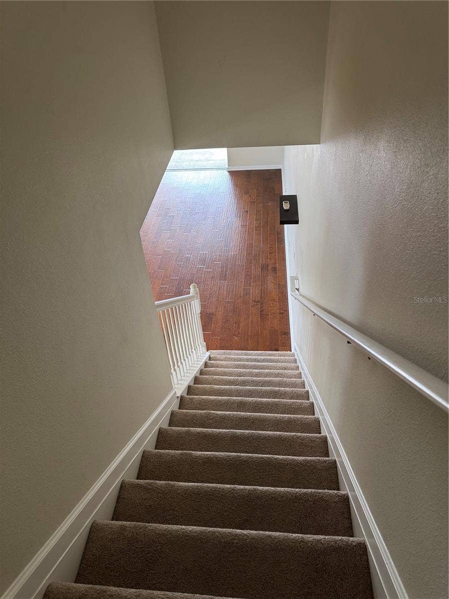 10231 PINK PALMATA COURT, Riverview, FL 33578