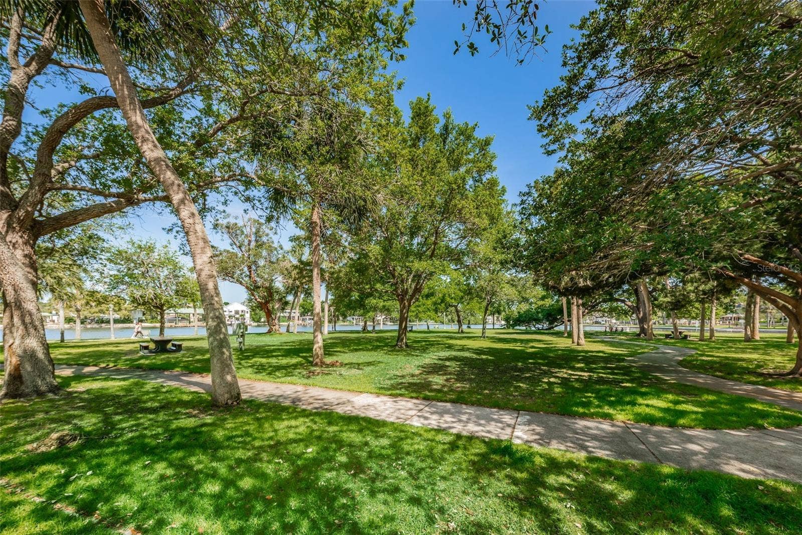 39820 US HIGHWAY 19 N, #182, Tarpon Springs, FL 34689