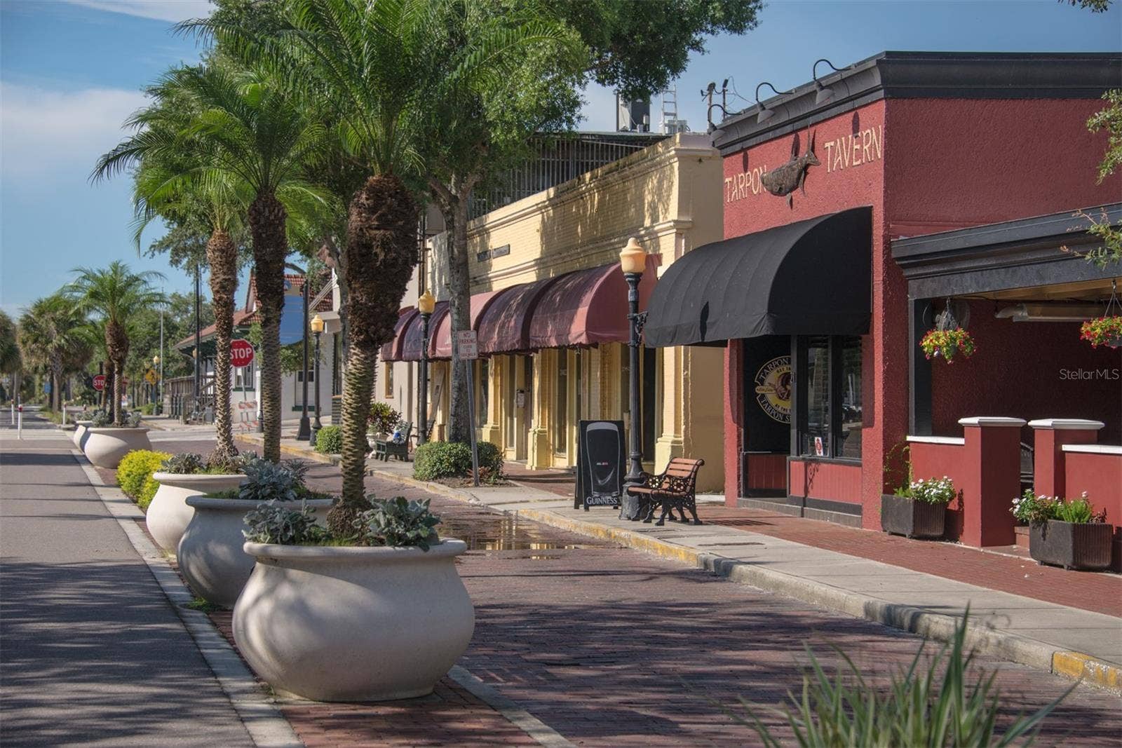 39820 US HIGHWAY 19 N, #182, Tarpon Springs, FL 34689