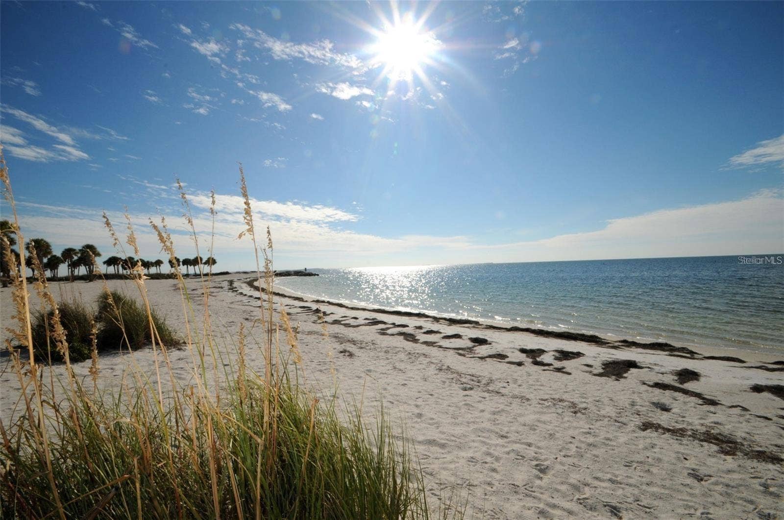39820 US HIGHWAY 19 N, #182, Tarpon Springs, FL 34689