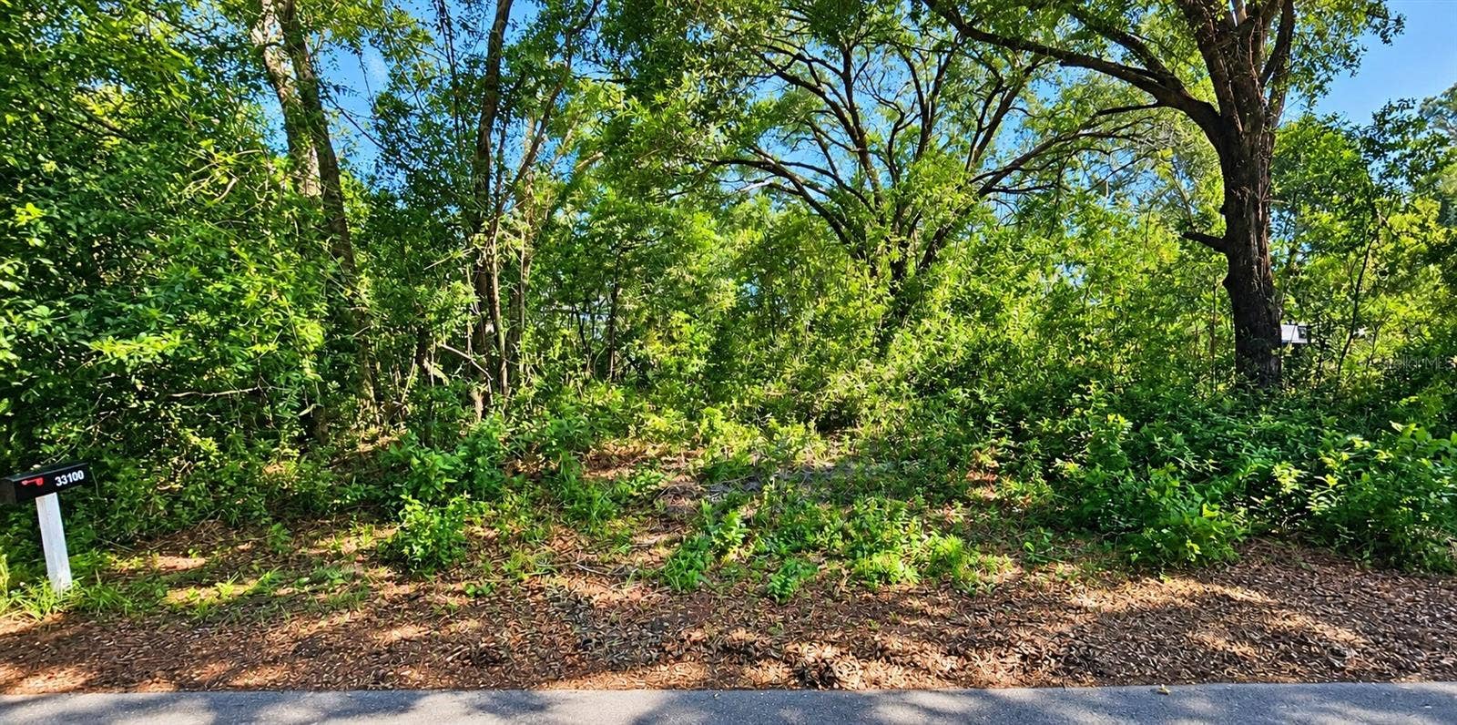 LOT 13 PATRICE ROAD, Dade City, FL 33523