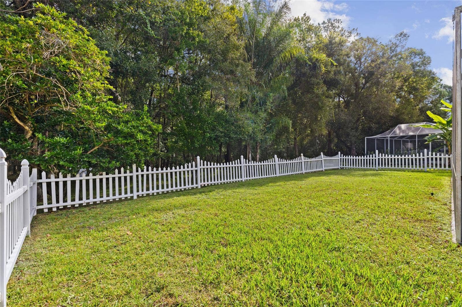12960 ROYAL GEORGE AVENUE, Odessa, FL 33556 Yard