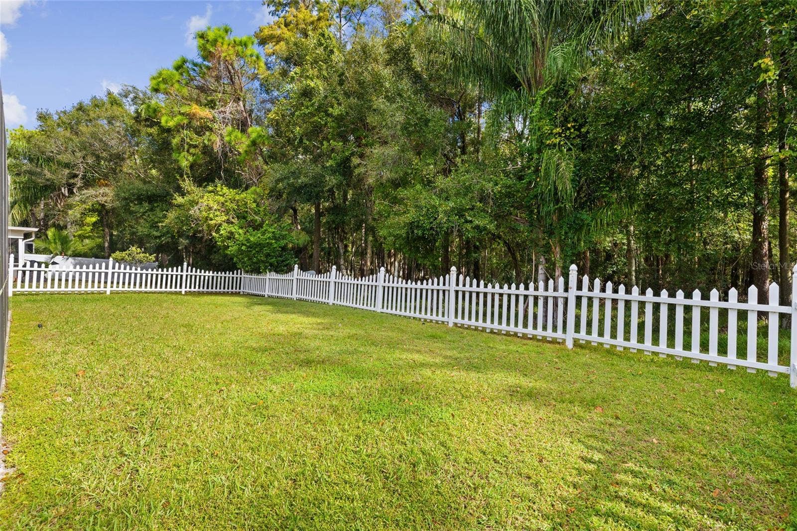 12960 ROYAL GEORGE AVENUE, Odessa, FL 33556 Yard