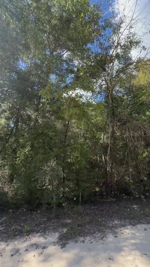 NE 141ST AVENUE, Williston, FL 32696 NE 141ST AVENUE, Williston, FL 32696