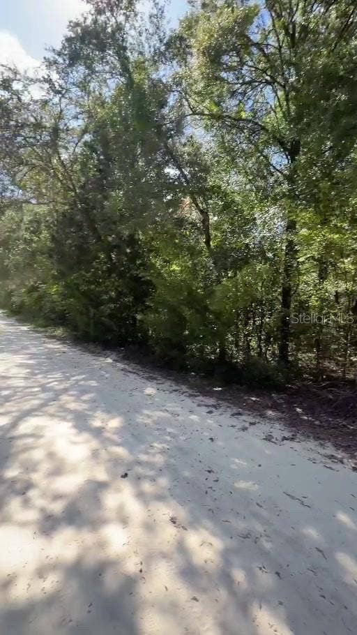NE 141ST AVENUE, Williston, FL 32696 NE 141ST AVENUE, Williston, FL 32696