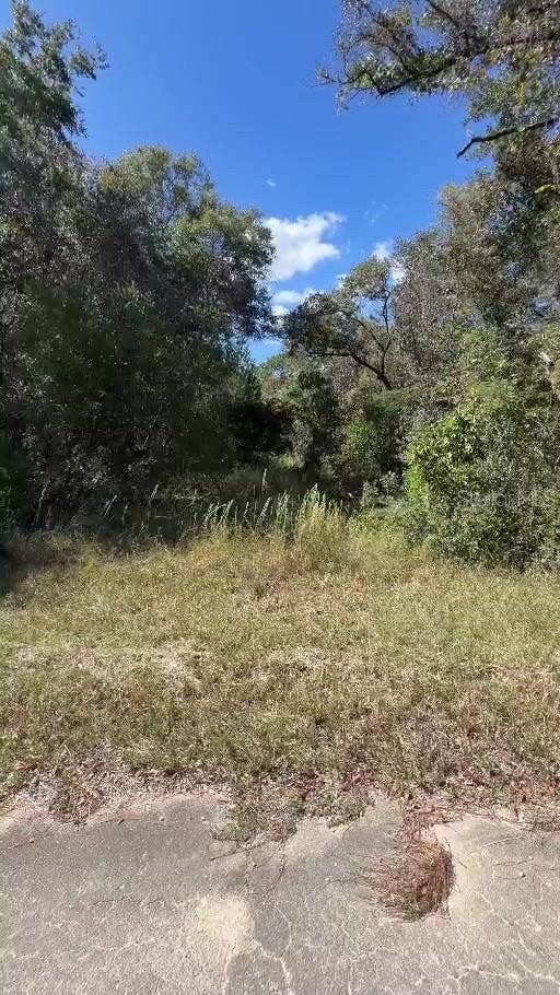 NE 13TH LANE, Williston, FL 32696