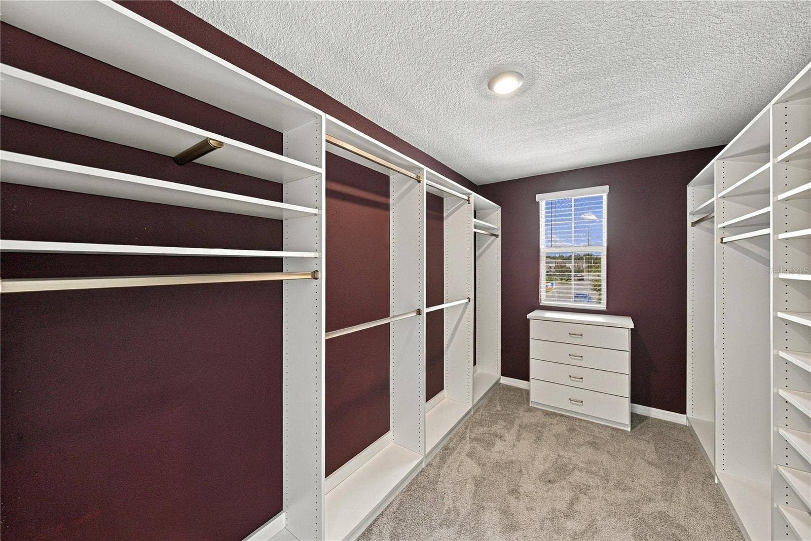 12172 LILY MAGNOLIA LANE, Riverview, FL 33569 12172 LILY MAGNOLIA LANE, Riverview, FL 33569