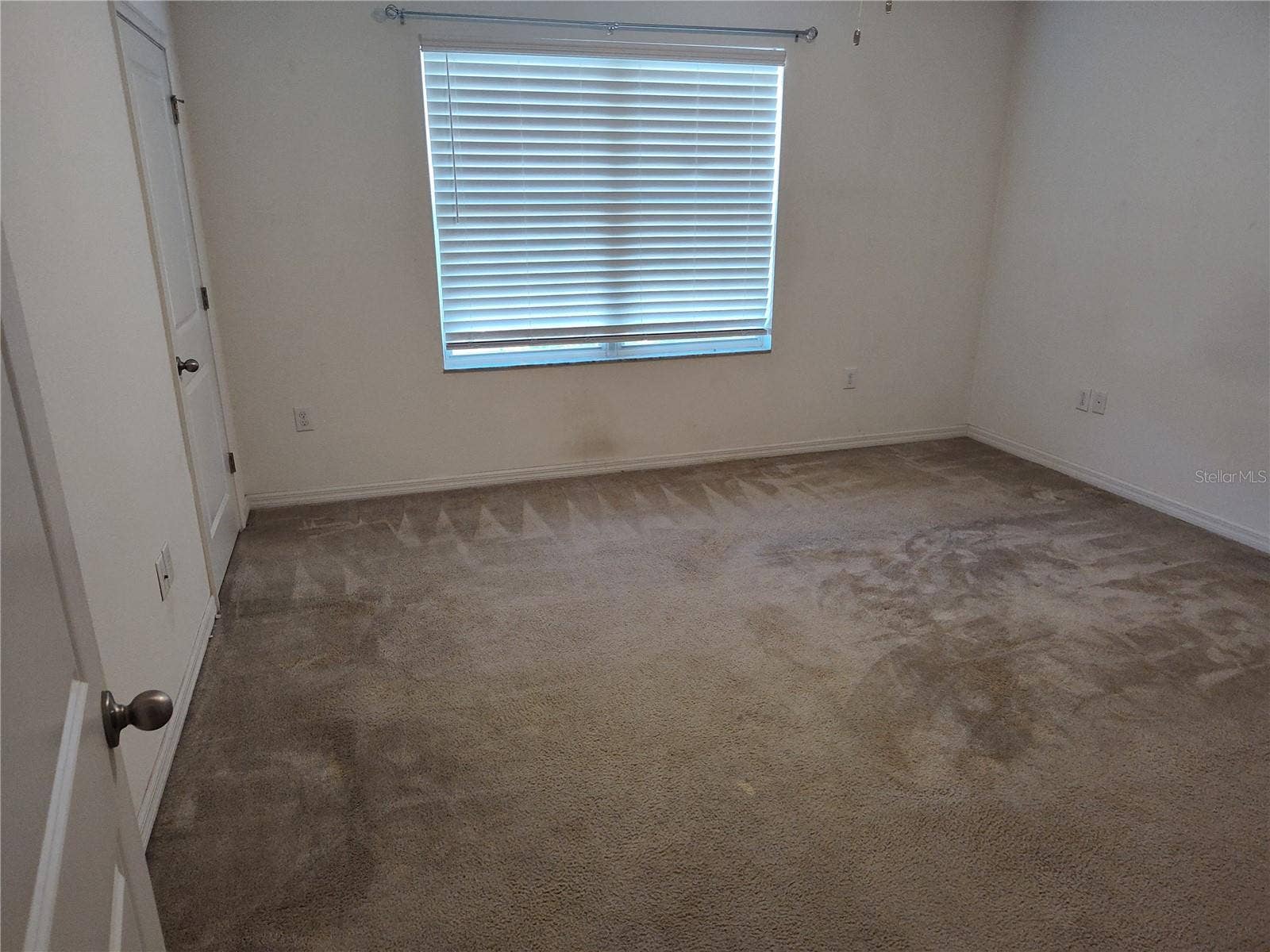 1103 HILLHURST DRIVE, Wesley Chapel, FL 33543 Primary bedroom