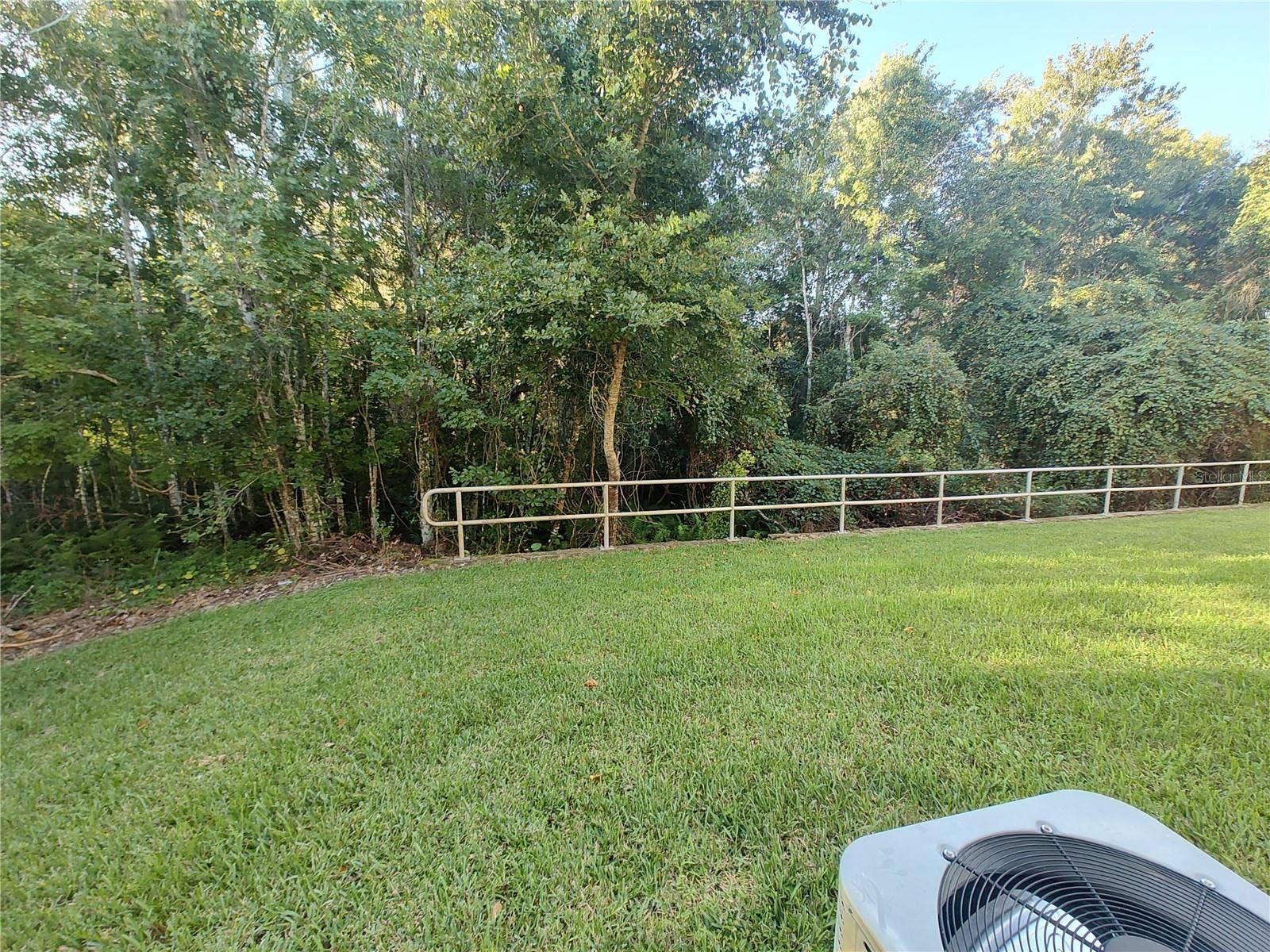 1103 HILLHURST DRIVE, Wesley Chapel, FL 33543 Conservation area