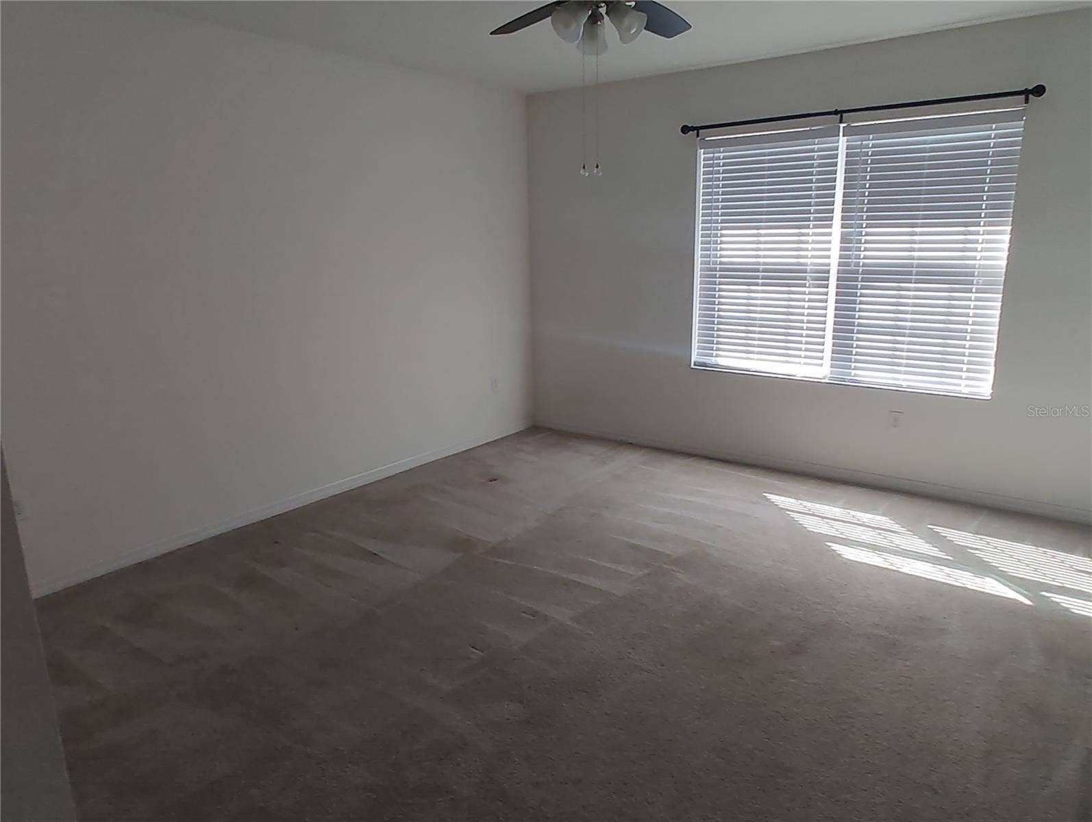 1103 HILLHURST DRIVE, Wesley Chapel, FL 33543 Large 2nd bedroom
