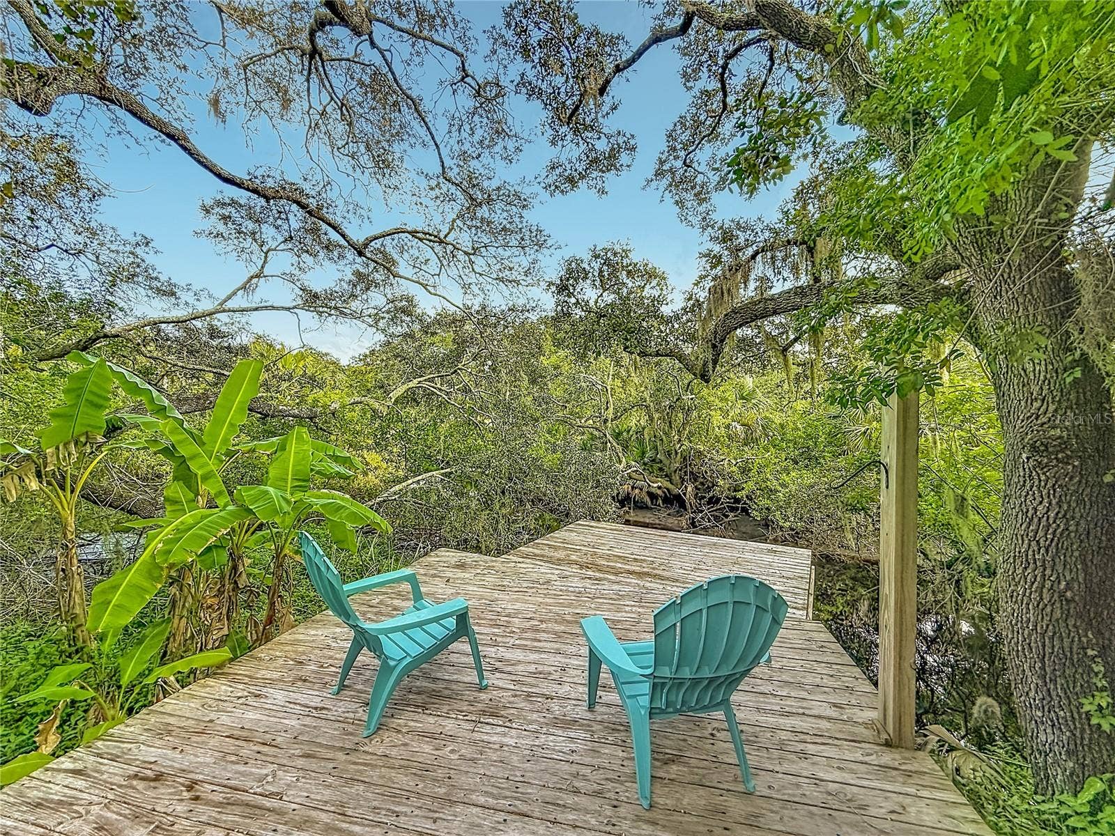 12805 TWIN BRANCH ACRES RD, Tampa, FL 33626