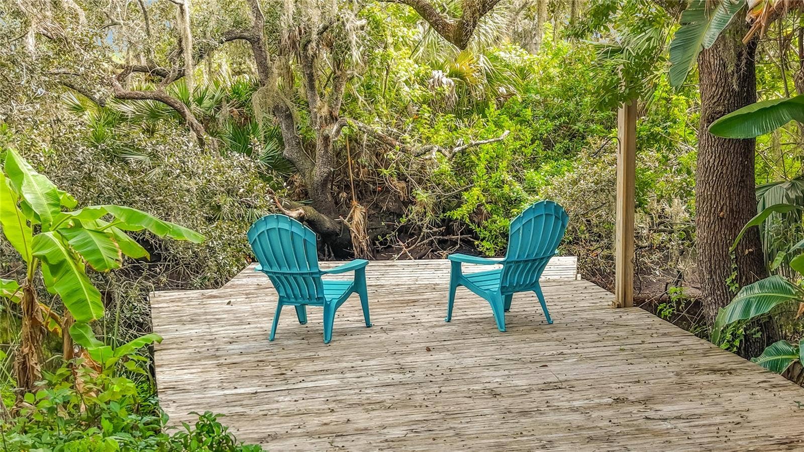 12805 TWIN BRANCH ACRES RD, Tampa, FL 33626