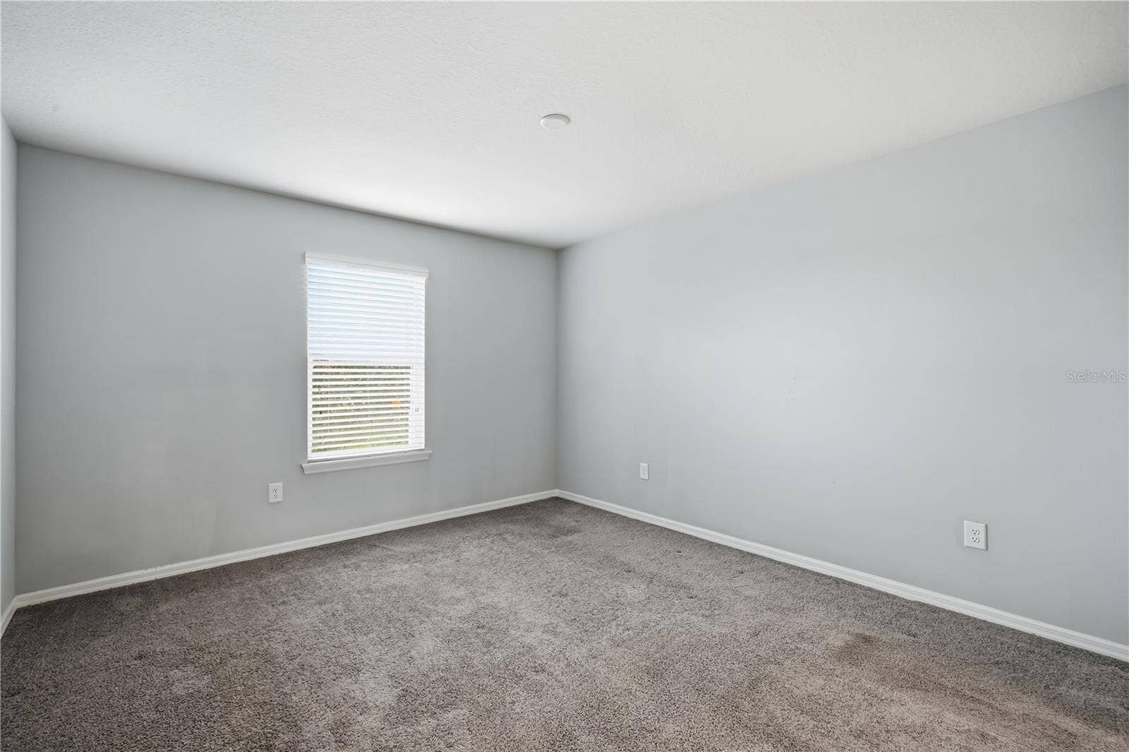 2224 LENNOX DALE LANE, Brandon, FL 33510