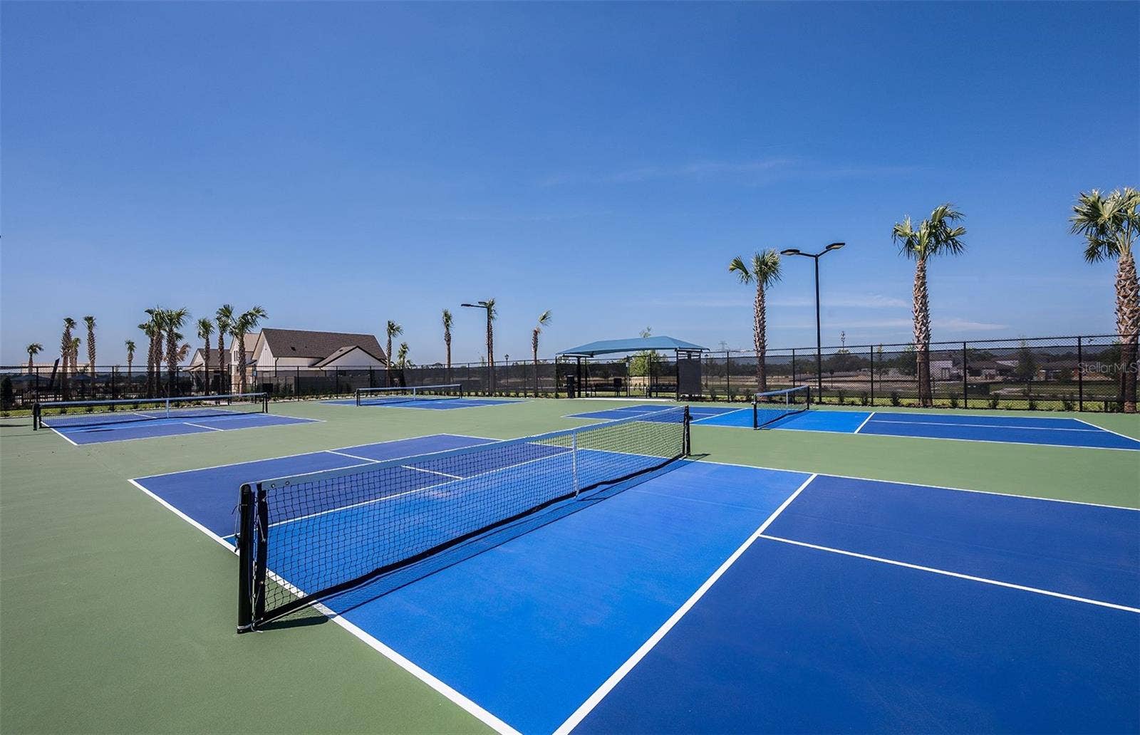 3684 HORNBEAM ROAD, Spring Hill, FL 34609 Pickleball Courts