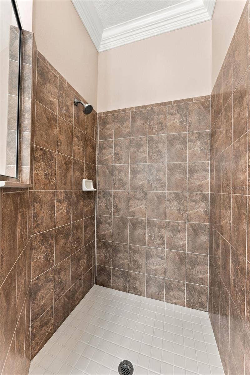 4319 RUSTIC PINE PLACE, Wesley Chapel, FL 33544 4319 RUSTIC PINE PLACE, Wesley Chapel, FL 33544